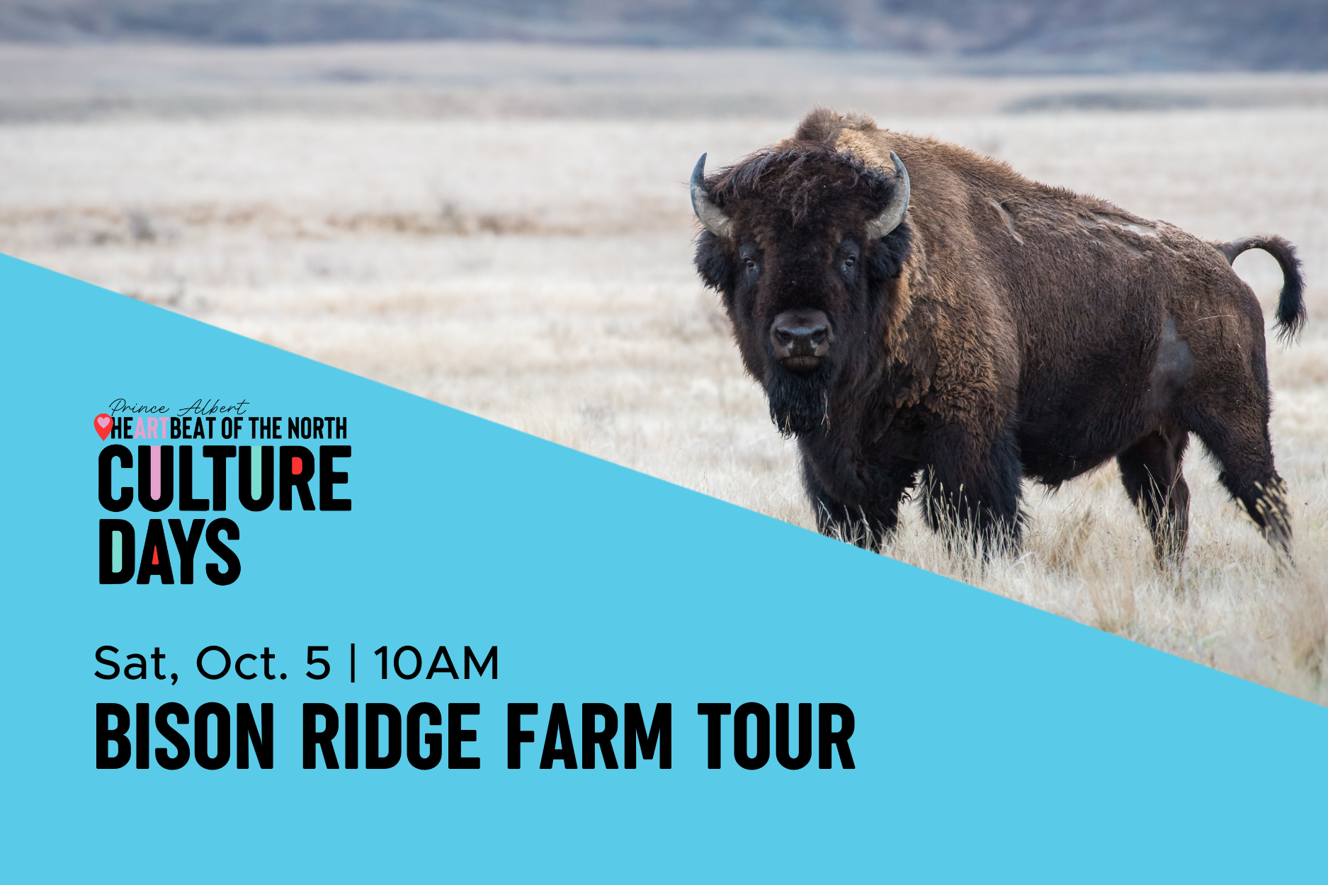 Bison Ridge Farm Tour | Culture Days 2024