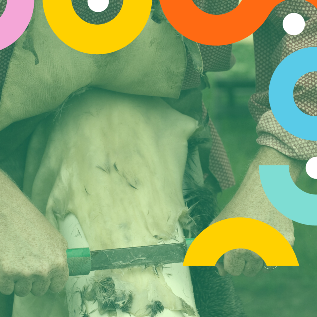 Rawhide Rattle Making Culture Days 2023