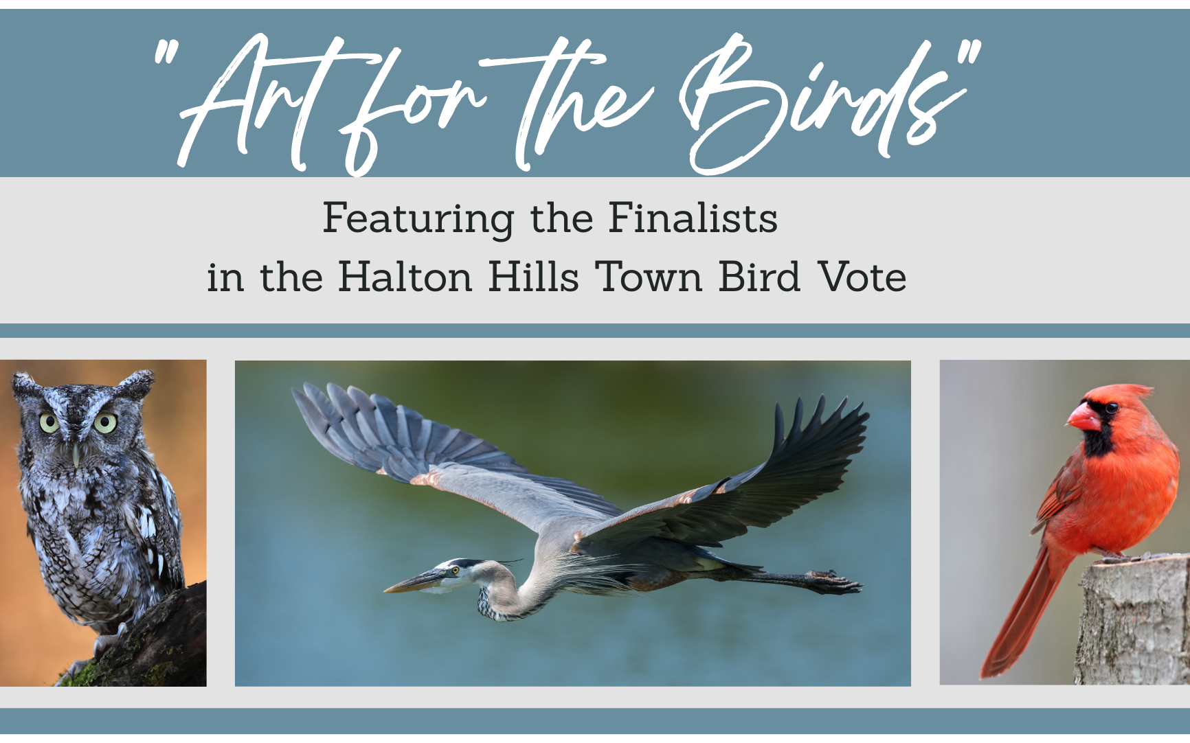 Opening Reception: Art for the Birds | Culture Days 2025